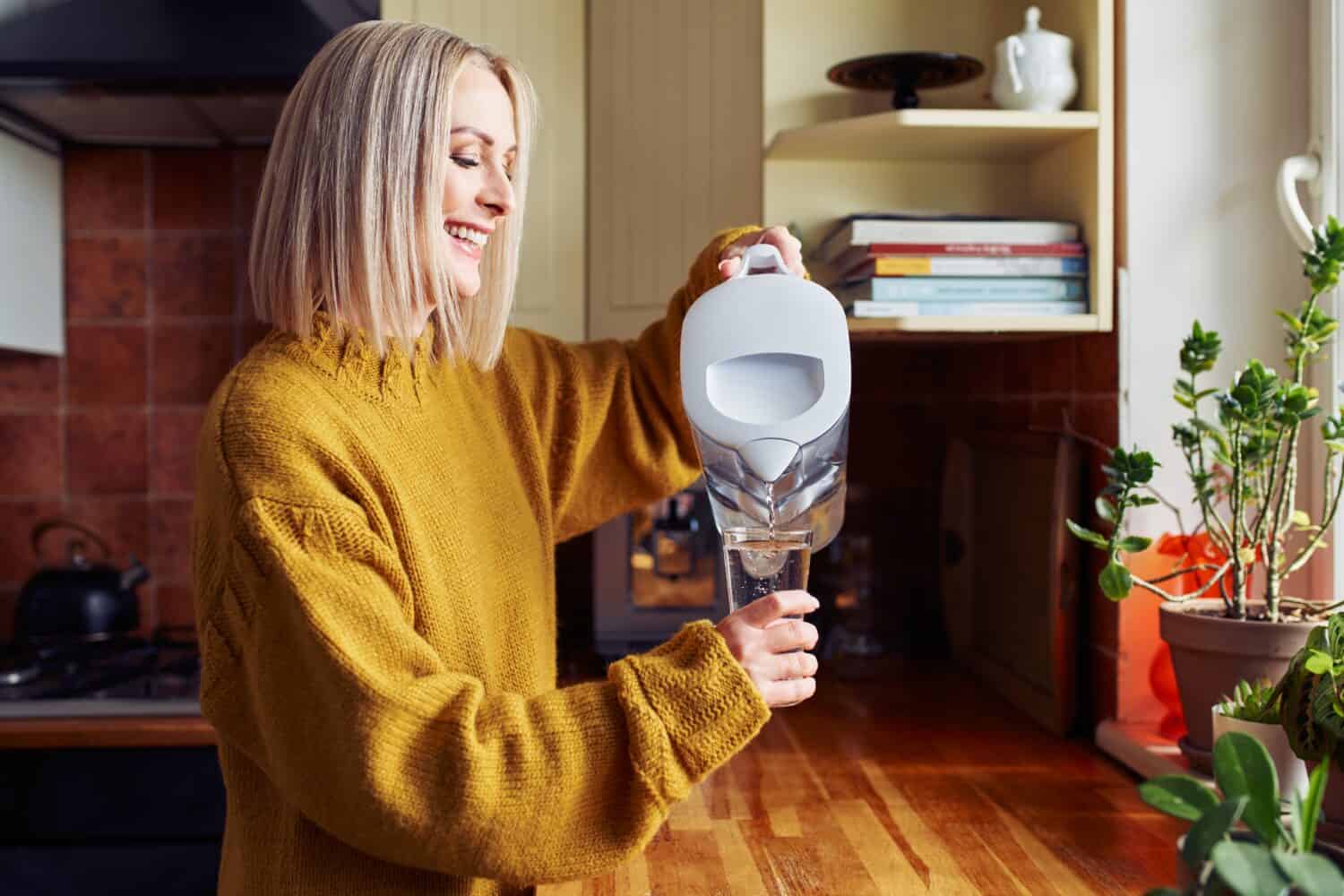 brita vs pur water filter