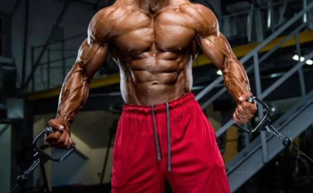 Enantat: Wie dieses Testosteron Ihren Fortschritt beschleunigt