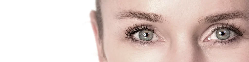 Elan Lamination für langanhaltende Wimpern- und Brauenstylings entdecken