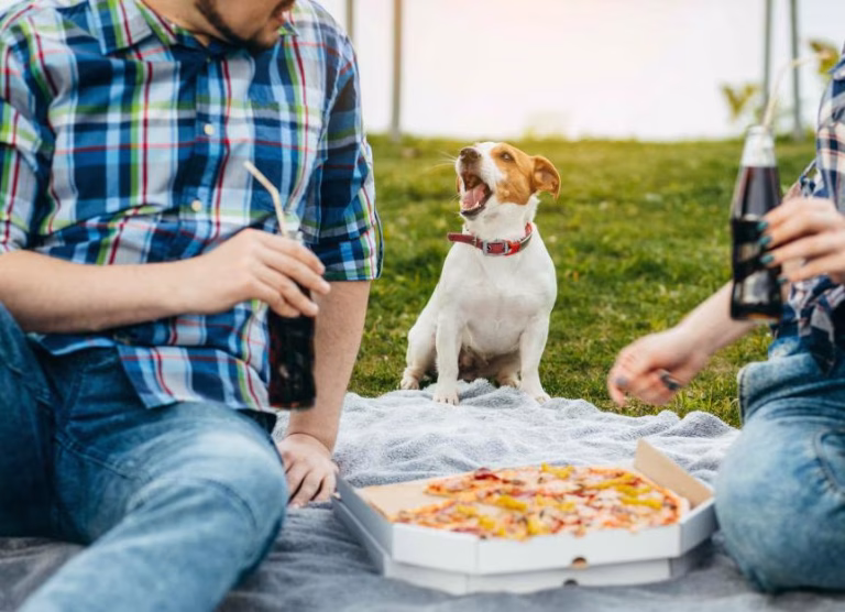 Pizzeria Breitscheid – Perfekte Pizza-Kompositionen aus Meisterhand
